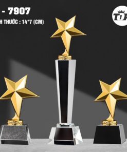 CÚP THỂ THAO 21 5 z7057183912231 a6cdcf2891d7bcdbf4c32e346f41c894