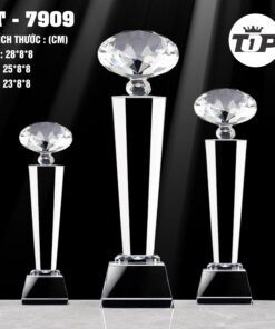 CÚP THỂ THAO 22 5 z7057183912234 8416fb65e6892461746bd004fcb4992f