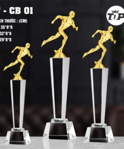 CÚP THỂ THAO 23 4 z7057184261595 bfe69a81832f41d60909d571bfb8dee3