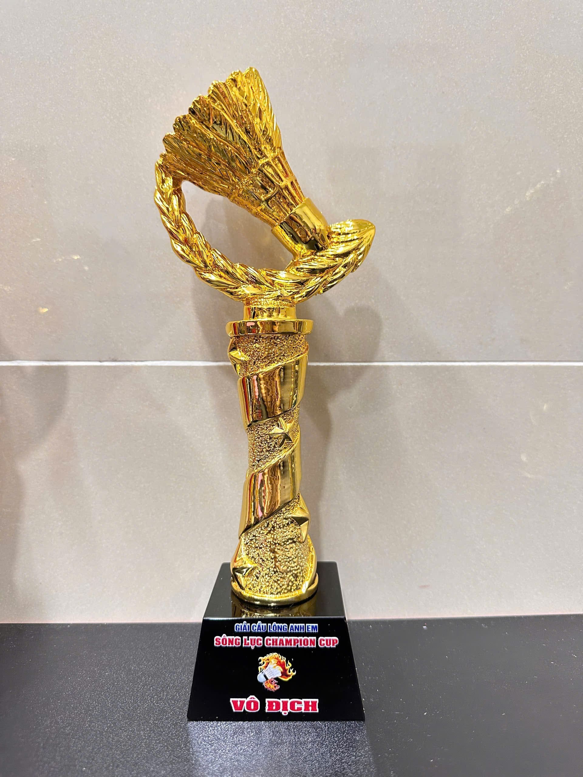 CÚP THỂ THAO 24 1 z7057184614556 caaae6f08ee71c3f32fbceabe3122339