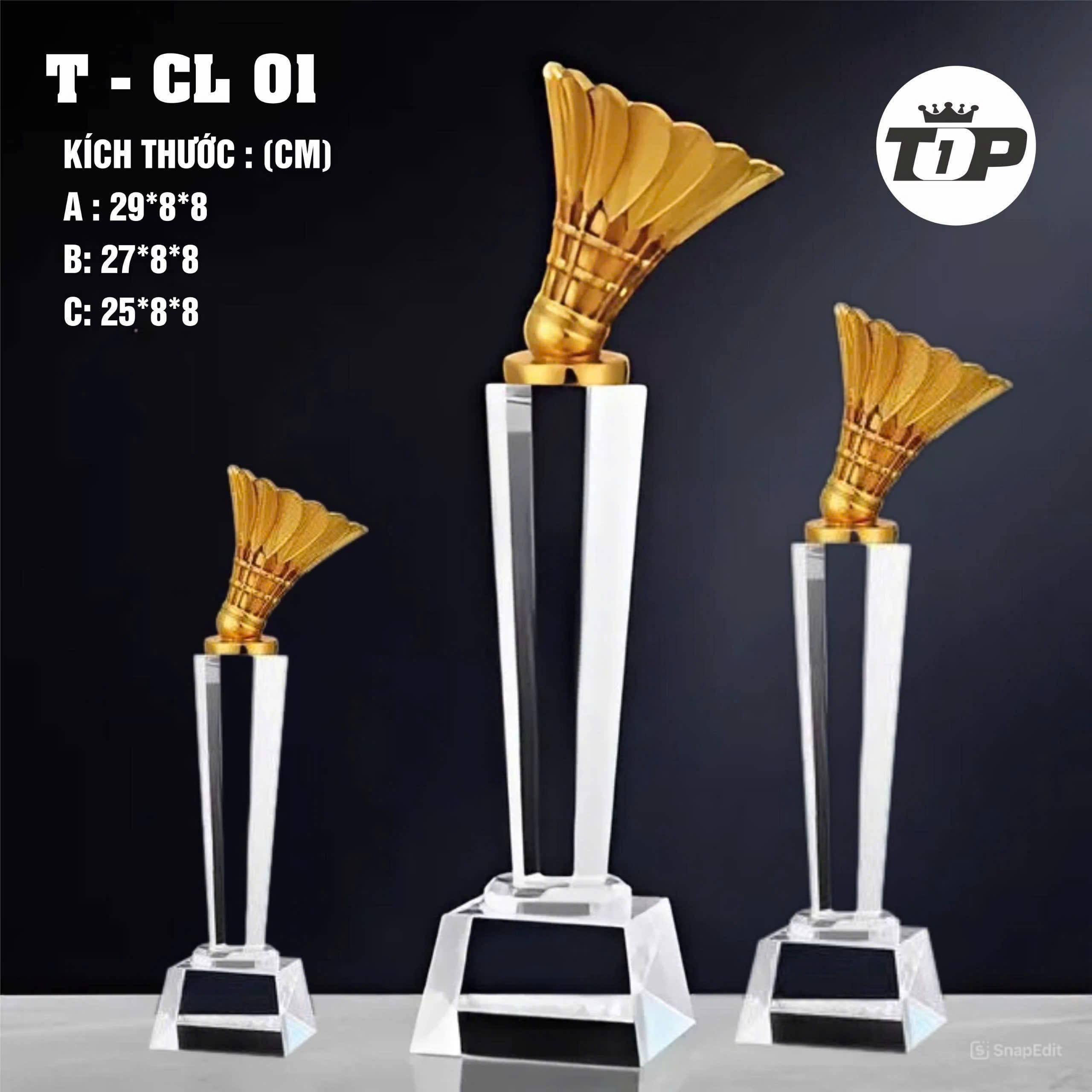 CÚP THỂ THAO 23 3 z7057184665285 30d5b43c797e1276d4625f9c6e1d3780