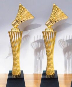 CÚP THỂ THAO 25 6 z7057184665287 d32d509c4634ddb283ae3e5ec5b9150e