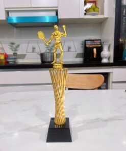 CÚP THỂ THAO 25 5 z7057184665291 90647946fb64b834946f8e600447a3d3