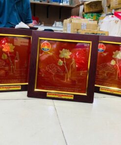 KỶ NIỆM CHƯƠNG ĂN MÒN CAO CẤP 07 13 IMG 3629