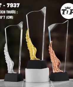 z7123020989443 443afec37338d42d18a2fd575fb223da