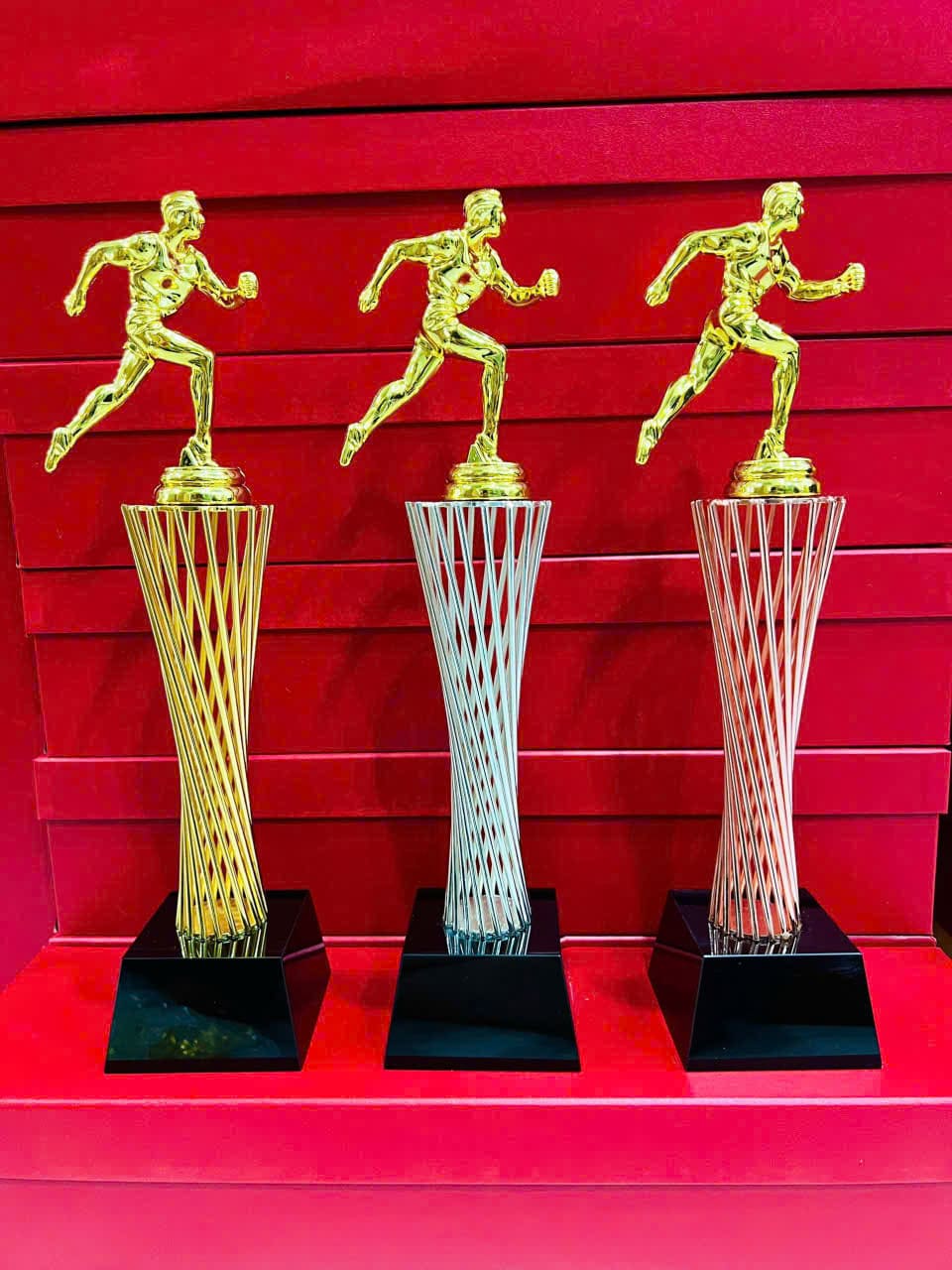 CÚP THỂ THAO 26 2 z7123023462752 c33e2541d59982b6e6e04aa1fb642e62