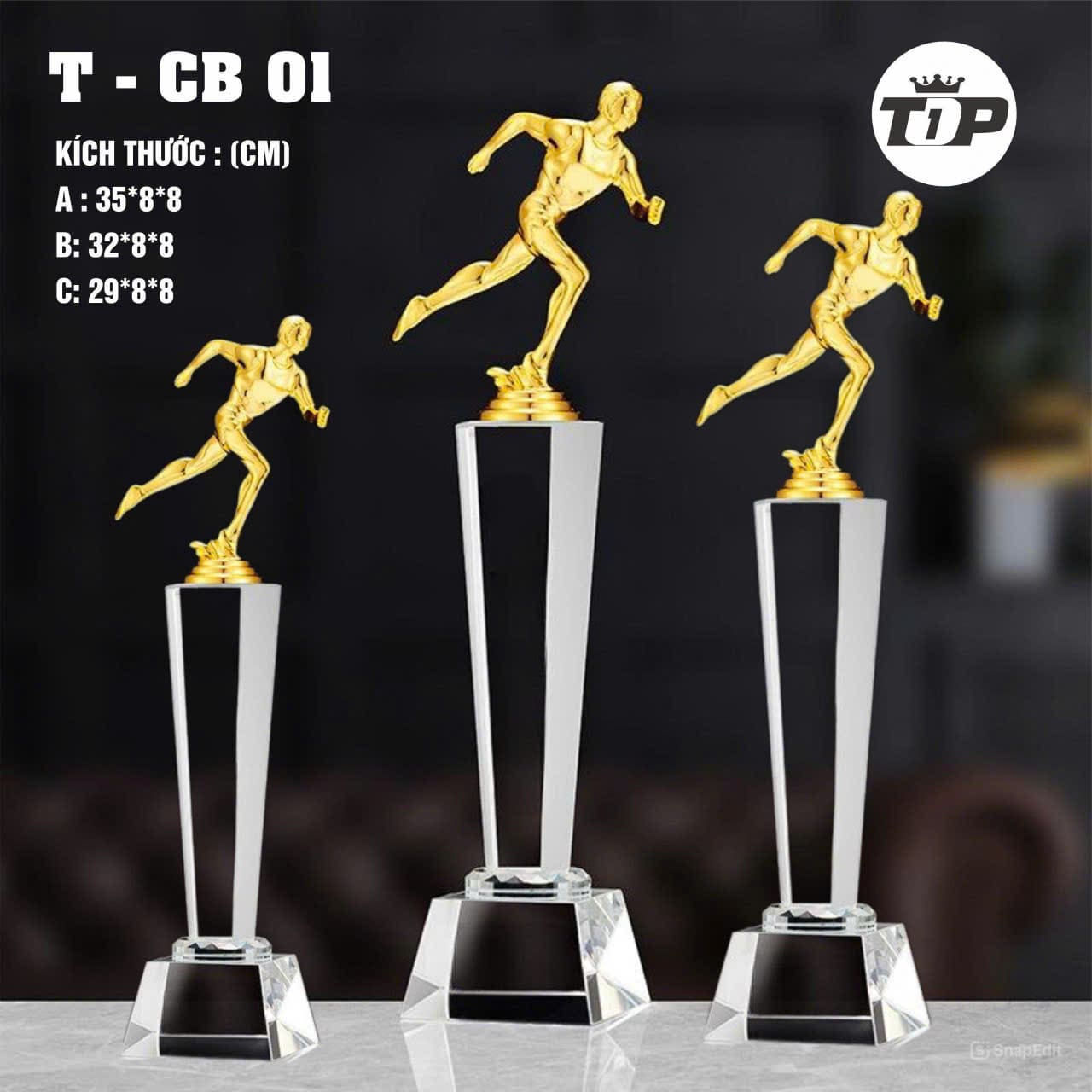 CÚP THỂ THAO 26 1 z7123023482712 25920c55b8f149d1878cde932b5567d1