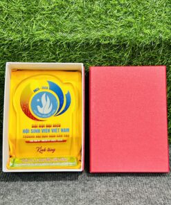 KỶ NIỆM CHƯƠNG CẮT THEO LOGO – THEO MẪU THIẾT KẾ RIÊNG 19 13 IMG 4875