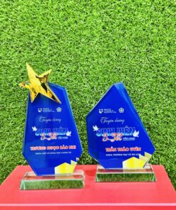KỶ NIỆM CHƯƠNG THUỶ TINH 30