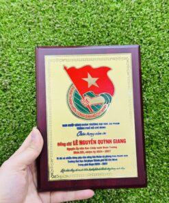 KỶ NIỆM CHƯƠNG ĂN MÒN CAO CẤP 09