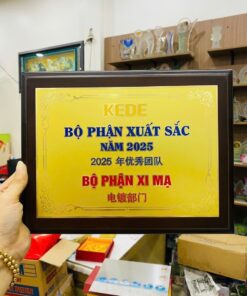 KỶ NIỆM CHƯƠNG ĂN MÒN CAO CẤP 10