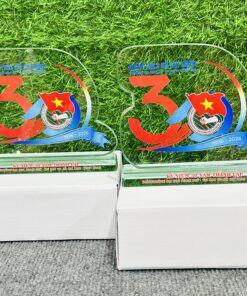 KỶ NIỆM CHƯƠNG CẮT THEO THIẾT KẾ RIÊNG 22