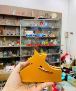 KỶ NIỆM CHƯƠNG THUỶ TINH 29