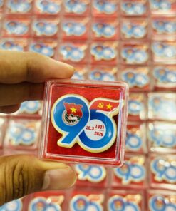HUY HIỆU KỶ NIỆM 95 NĂM THÀNH LẬP ĐOÀN