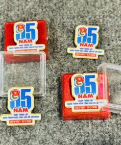 HUY HIỆU KỶ NIỆM 95 NĂM THÀNH LẬP ĐOÀN 02